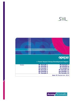 OPQ Team Impact Group Development Report